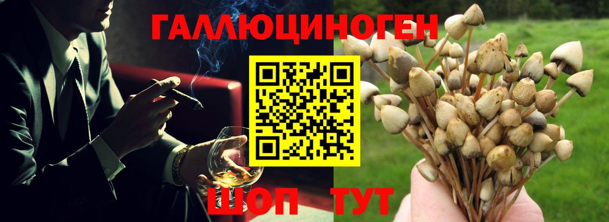 Лянтор  Галлюциногенные грибы ЛСД  Вход с VPN  Псилоцибиновые грибы мухоморы 
