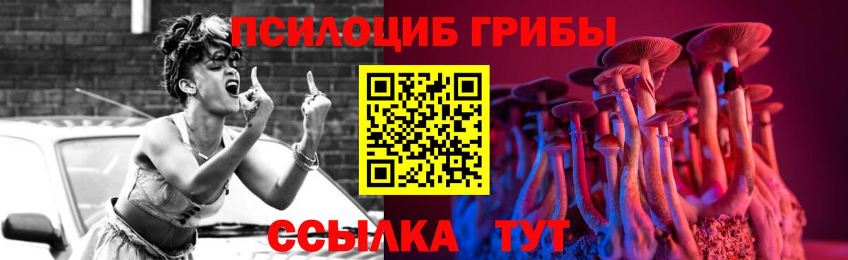 Псилоцибиновые грибы Cubensis Лянтор